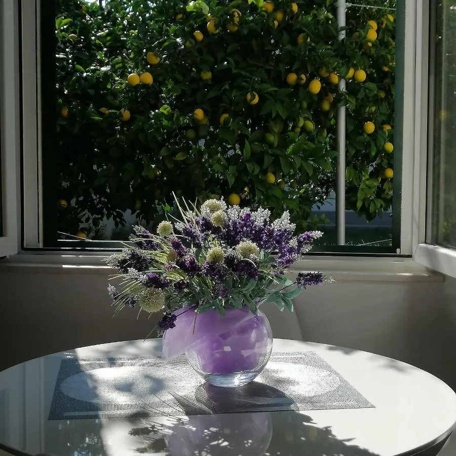 Tonina - House With Terrace, Jacuzzi, Free Parking Apartman